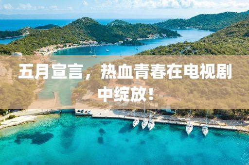 五月宣言，热血青春在电视剧中绽放！
