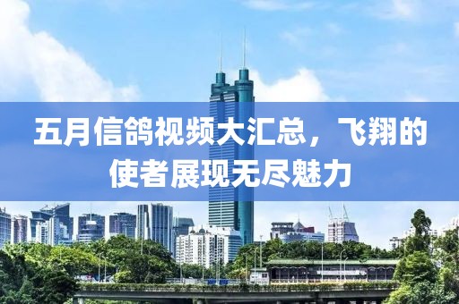 五月信鸽视频大汇总，飞翔的使者展现无尽魅力
