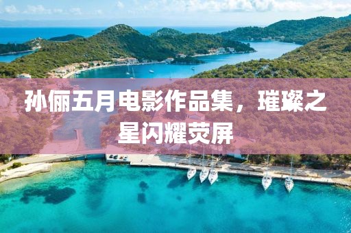 孙俪五月电影作品集，璀璨之星闪耀荧屏
