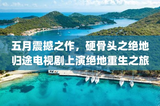 五月震撼之作，硬骨头之绝地归途电视剧上演绝地重生之旅