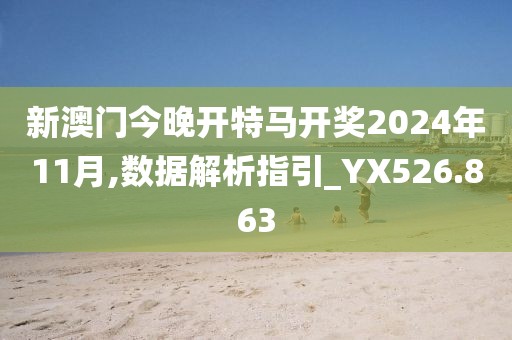 新澳门今晚开特马开奖2024年11月,数据解析指引_YX526.863