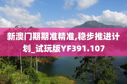 新澳门期期准精准,稳步推进计划_试玩版YF391.107