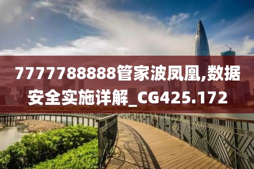 7777788888管家波凤凰,数据安全实施详解_CG425.172