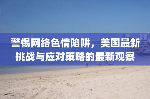 警惕网络色情陷阱，美国最新挑战与应对策略的最新观察