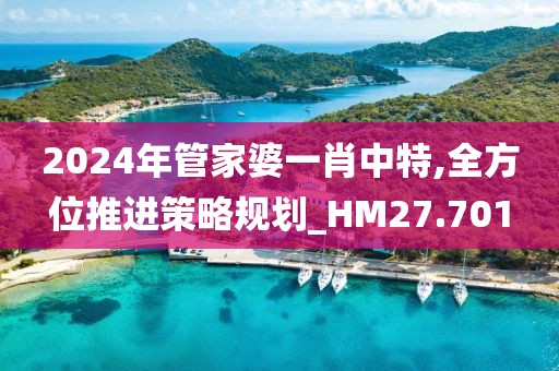 2024年管家婆一肖中特,全方位推进策略规划_HM27.701