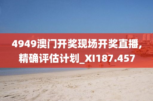 4949澳门开奖现场开奖直播,精确评估计划_XI187.457