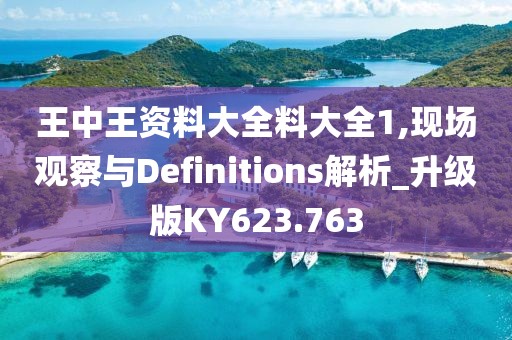 王中王资料大全料大全1,现场观察与Definitions解析_升级版KY623.763
