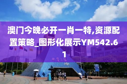 澳门今晚必开一肖一特,资源配置策略_图形化展示YM542.61