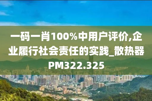 一码一肖100%中用户评价,企业履行社会责任的实践_散热器PM322.325