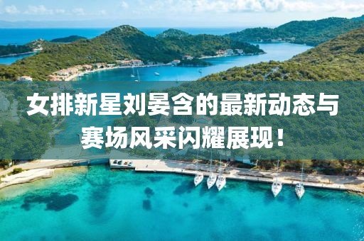 女排新星刘晏含的最新动态与赛场风采闪耀展现！