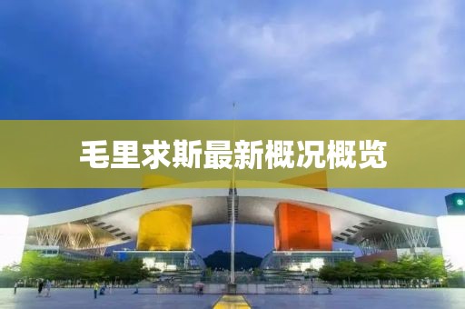 毛里求斯最新概况概览
