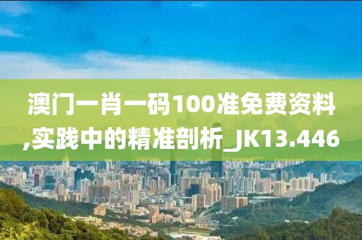 澳门一肖一码100准免费资料,实践中的精准剖析_JK13.446