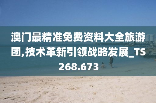 澳门最精准免费资料大全旅游团,技术革新引领战略发展_TS268.673