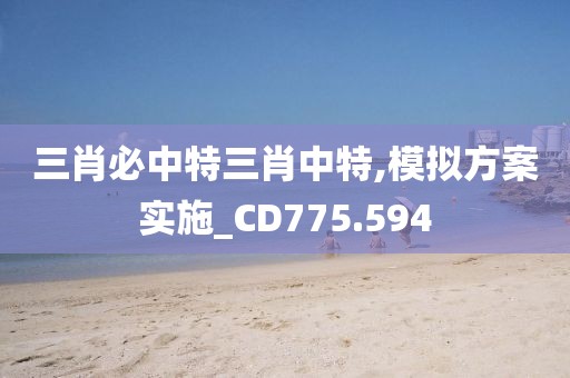 三肖必中特三肖中特,模拟方案实施_CD775.594