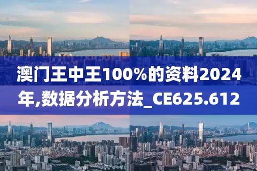 澳门王中王100%的资料2024年,数据分析方法_CE625.612