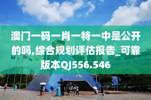 澳门一码一肖一特一中是公开的吗,综合规划评估报告_可靠版本QJ556.546