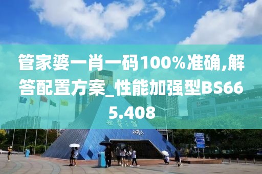 管家婆一肖一码100%准确,解答配置方案_性能加强型BS665.408