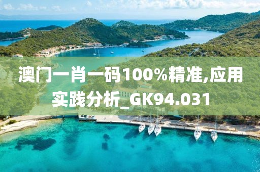 澳门一肖一码100%精准,应用实践分析_GK94.031