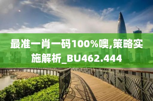 最准一肖一码100%噢,策略实施解析_BU462.444