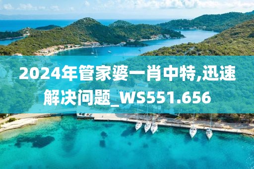2024年管家婆一肖中特,迅速解决问题_WS551.656
