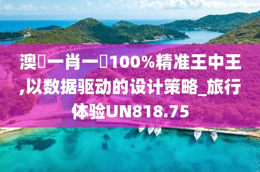 澳門一肖一碼100%精准王中王,以数据驱动的设计策略_旅行体验UN818.75