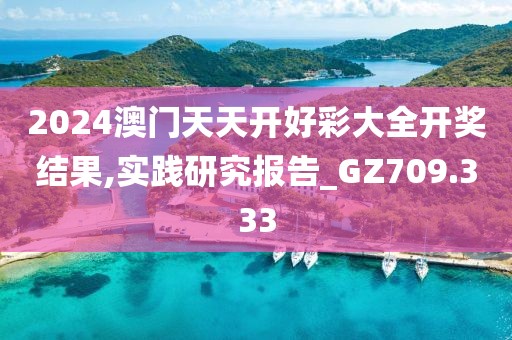 2024澳门天天开好彩大全开奖结果,实践研究报告_GZ709.333