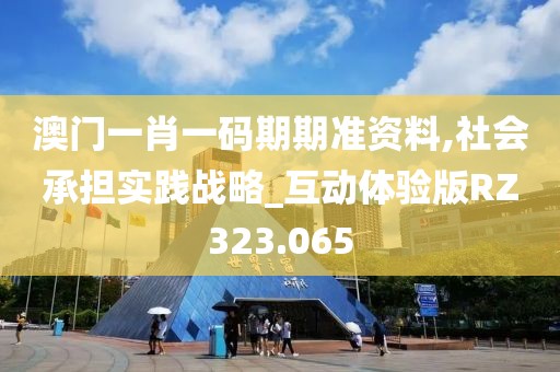 澳门一肖一码期期准资料,社会承担实践战略_互动体验版RZ323.065