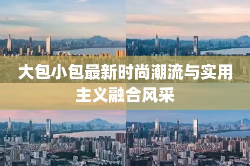大包小包最新时尚潮流与实用主义融合风采