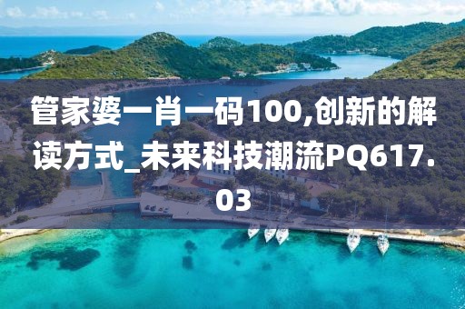 管家婆一肖一码100,创新的解读方式_未来科技潮流PQ617.03