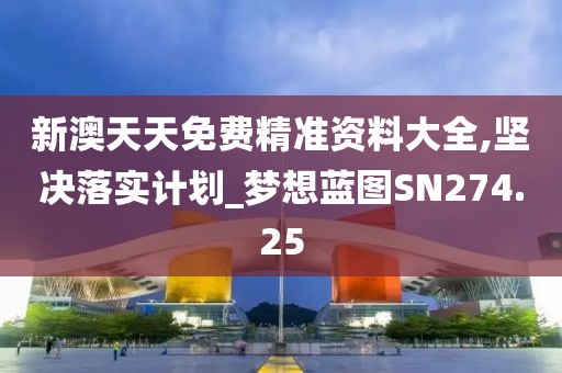 新澳天天免费精准资料大全,坚决落实计划_梦想蓝图SN274.25