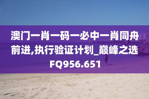 澳门一肖一码一必中一肖同舟前进,执行验证计划_巅峰之选FQ956.651