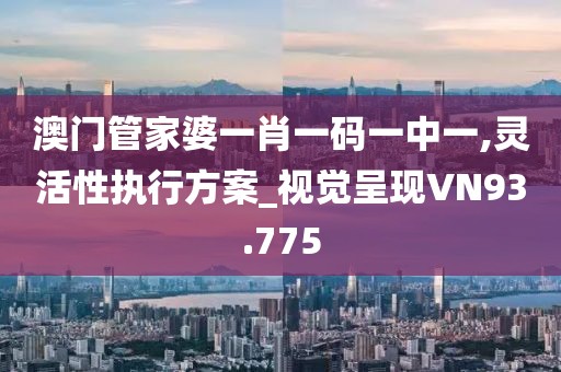澳门管家婆一肖一码一中一,灵活性执行方案_视觉呈现VN93.775