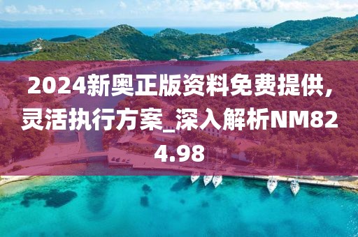 2024新奥正版资料免费提供,灵活执行方案_深入解析NM824.98