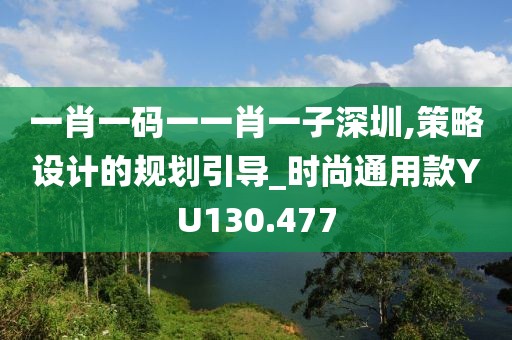 一肖一码一一肖一子深圳,策略设计的规划引导_时尚通用款YU130.477