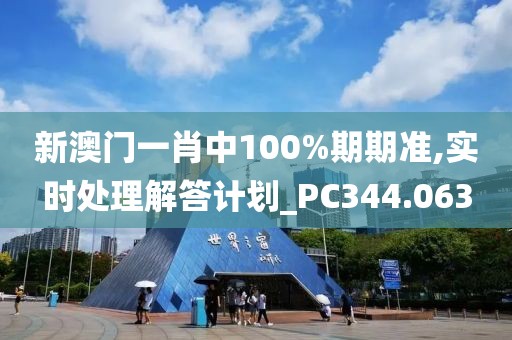 新澳门一肖中100%期期准,实时处理解答计划_PC344.063