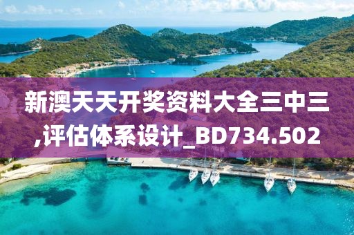 新澳天天开奖资料大全三中三,评估体系设计_BD734.502