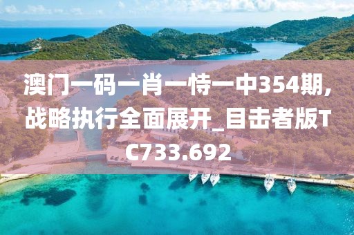 澳门一码一肖一恃一中354期,战略执行全面展开_目击者版TC733.692