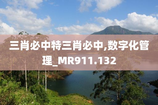 三肖必中特三肖必中,数字化管理_MR911.132