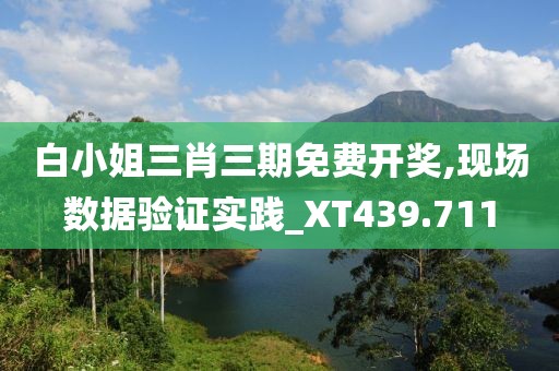 白小姐三肖三期免费开奖,现场数据验证实践_XT439.711