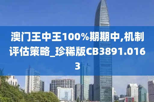 澳门王中王100%期期中,机制评估策略_珍稀版CB3891.0163
