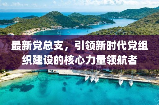 最新党总支，引领新时代党组织建设的核心力量领航者