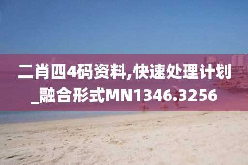 二肖四4码资料,快速处理计划_融合形式MN1346.3256