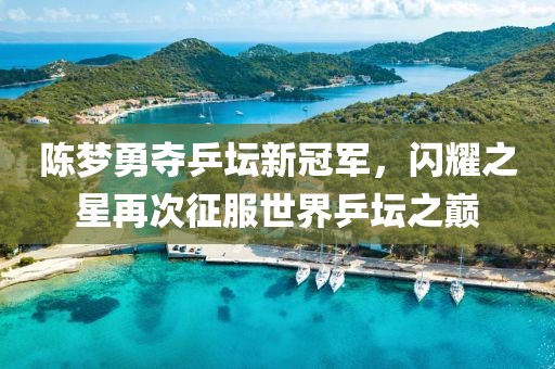 陈梦勇夺乒坛新冠军，闪耀之星再次征服世界乒坛之巅