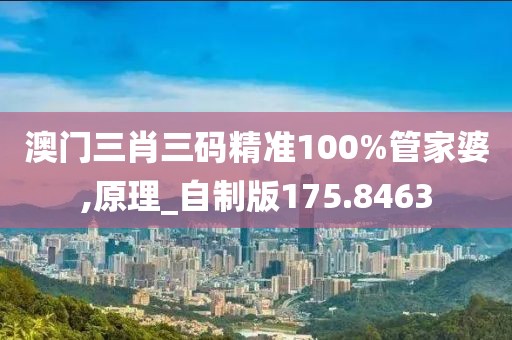 澳门三肖三码精准100%管家婆,原理_自制版175.8463
