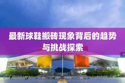最新球鞋搬砖现象背后的趋势与挑战探索