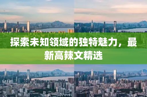 探索未知领域的独特魅力，最新高辣文精选