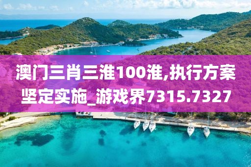 澳门三肖三淮100淮,执行方案坚定实施_游戏界7315.7327