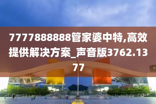 7777888888管家婆中特,高效提供解决方案_声音版3762.1377