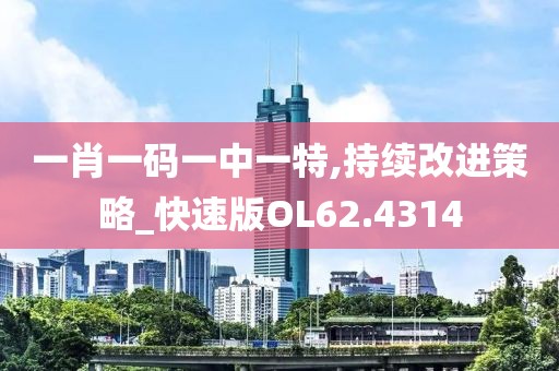 一肖一码一中一特,持续改进策略_快速版OL62.4314