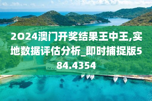 2O24澳门开奖结果王中王,实地数据评估分析_即时捕捉版584.4354